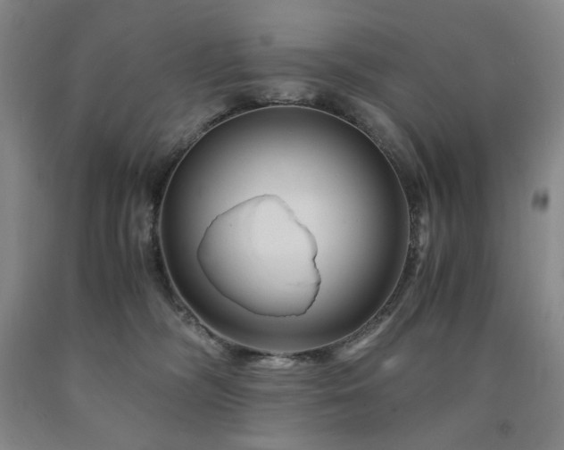 X0000090860326200707271234