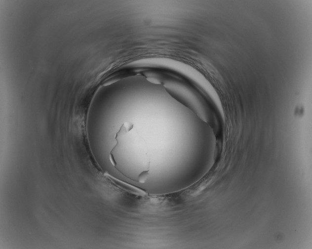 X0000090860329200707271234
