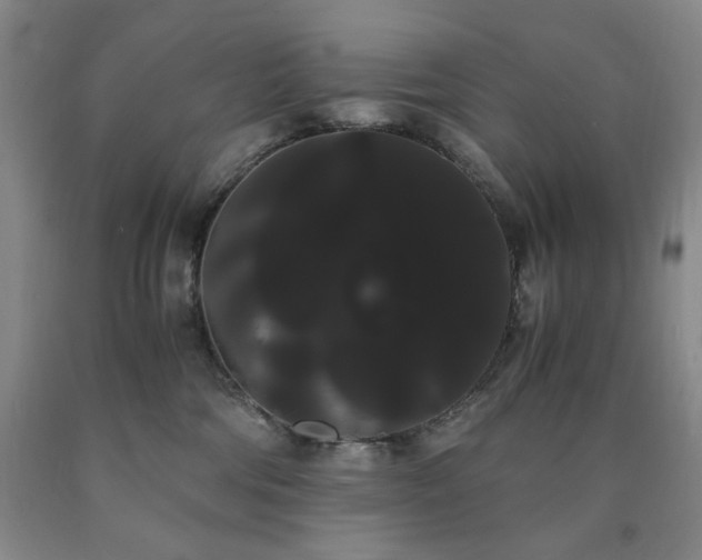 X0000090860330200707271234