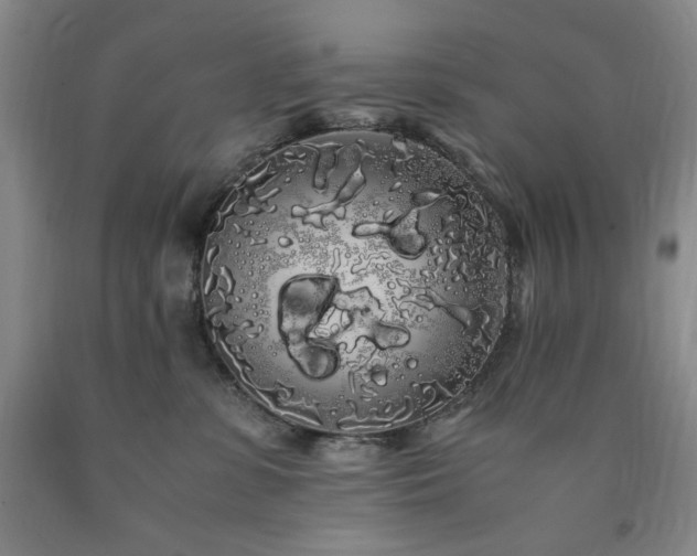 X0000090860331200707271234