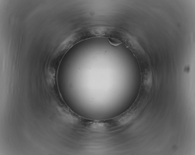 X0000090860332200707271234