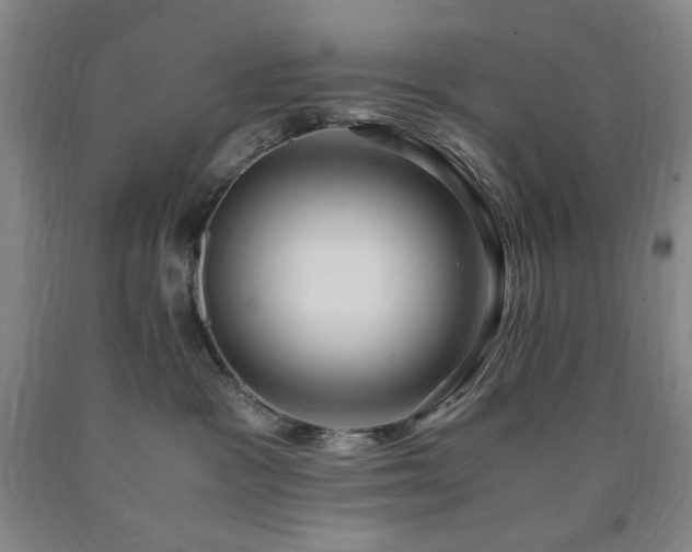 X0000090860333200707271234