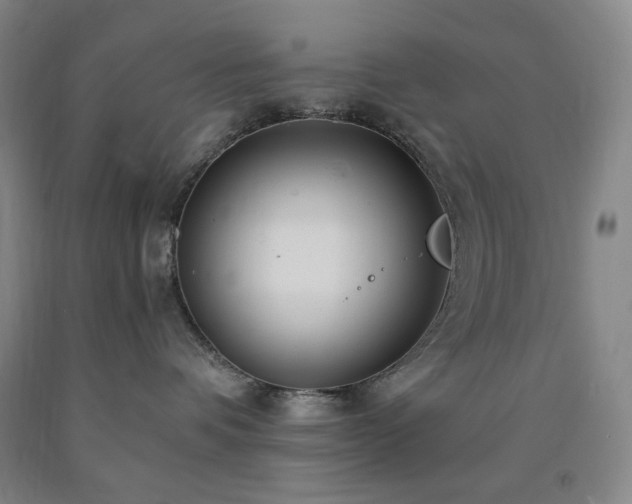 X0000090860336200707271234