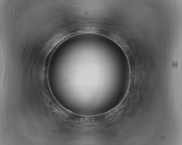 X0000090860338200707271233
