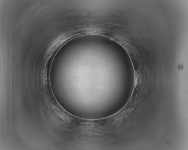 X0000090860339200707271233