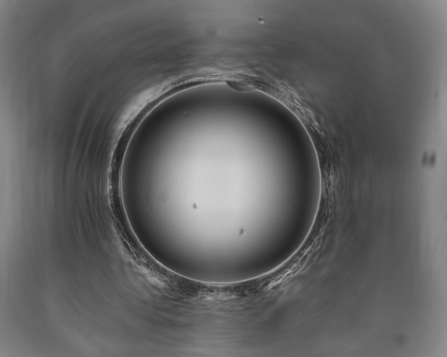 X0000090860340200707271233