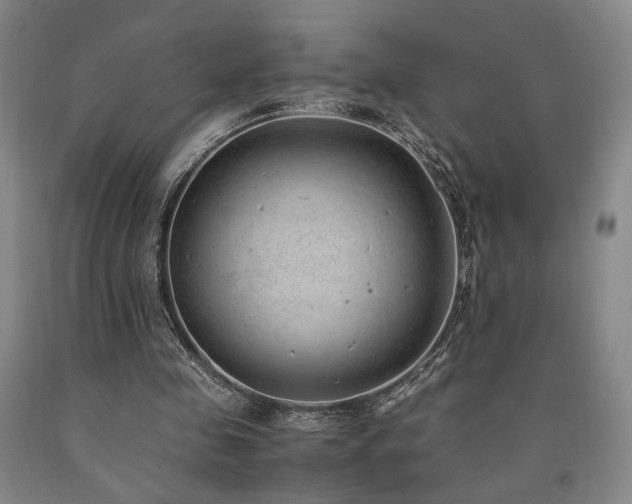 X0000090860341200707271233