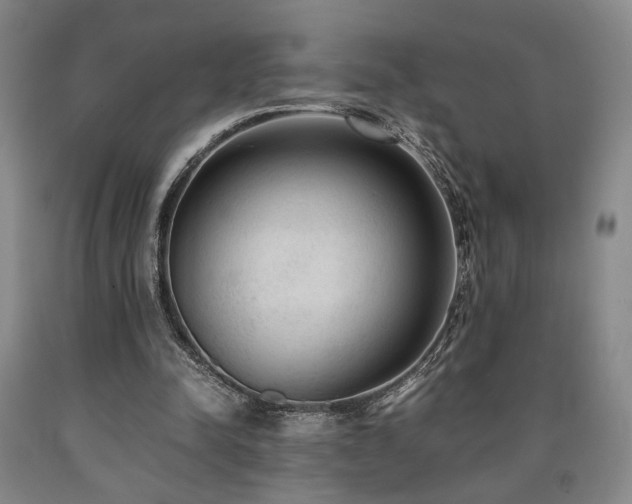 X0000090860342200707271233