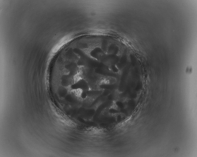 X0000090860343200707271233
