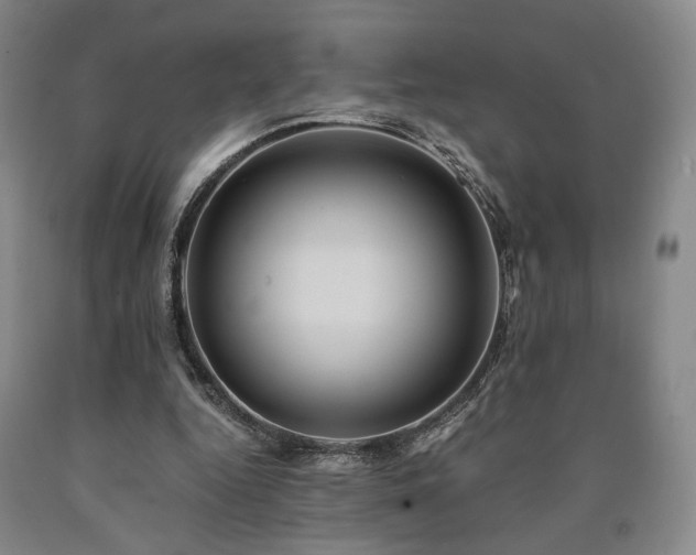 X0000090860344200707271233
