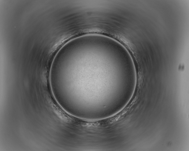 X0000090860345200707271233