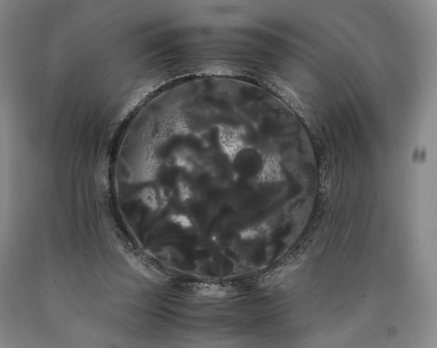 X0000090860347200707271233