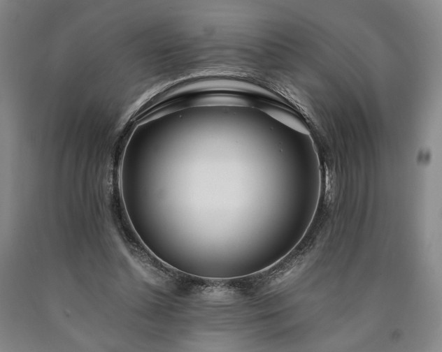 X0000090860348200707271233