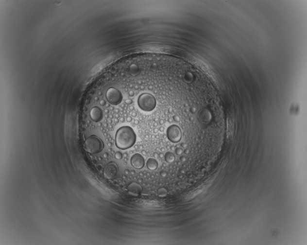 X0000090860349200707271233