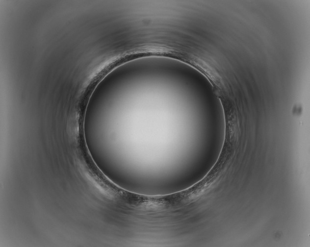 X0000090860350200707271233