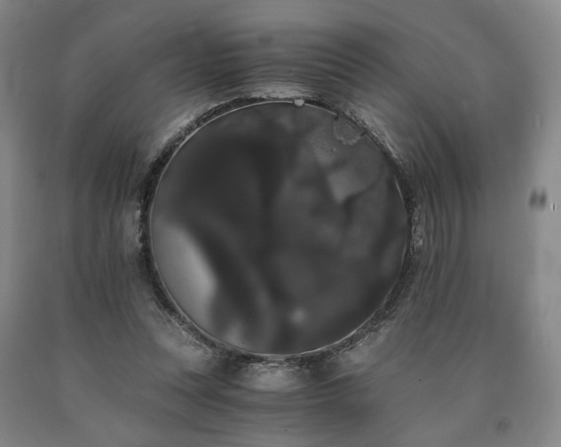 X0000090860351200707271233