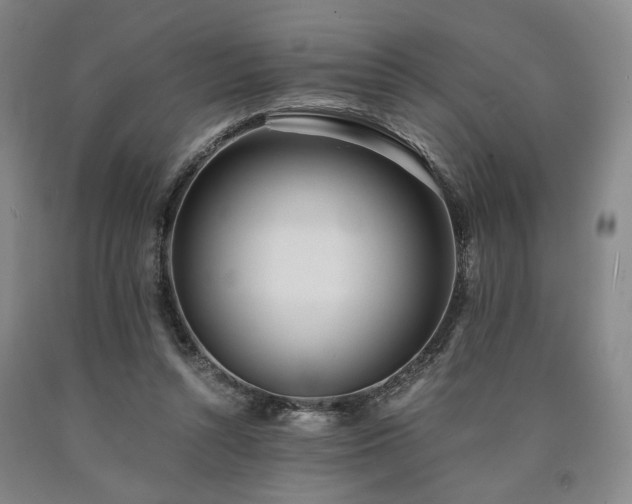 X0000090860352200707271233
