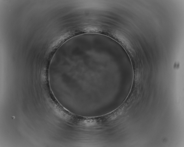 X0000090860353200707271233