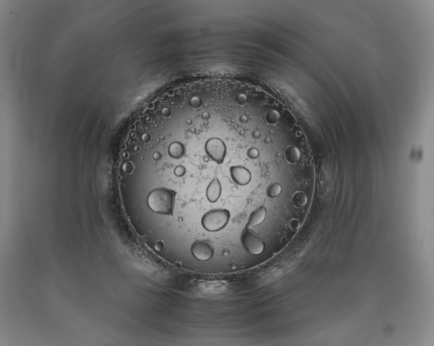 X0000090860355200707271234