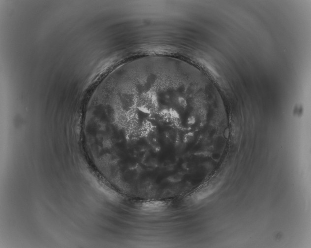 X0000090860357200707271234