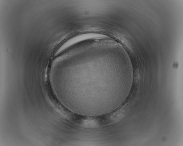 X0000090860358200707271234