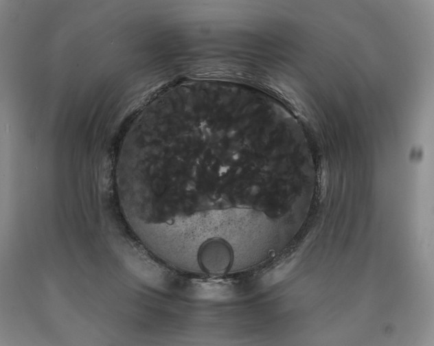 X0000090860359200707271234