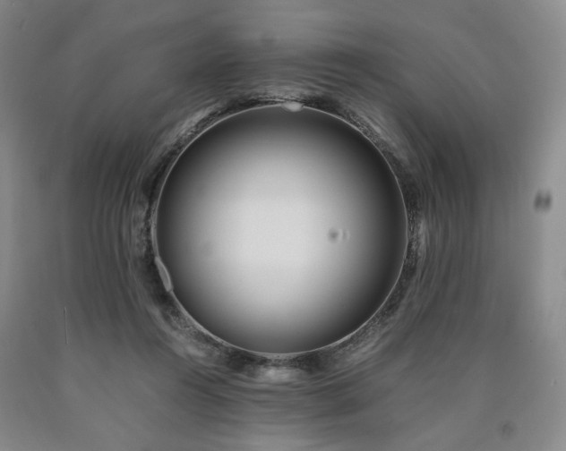 X0000090860360200707271234