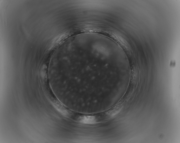 X0000090860361200707271234
