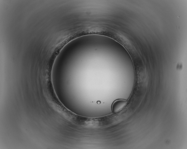 X0000090860362200707271234
