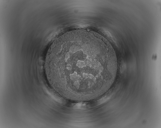 X0000090860366200707271234