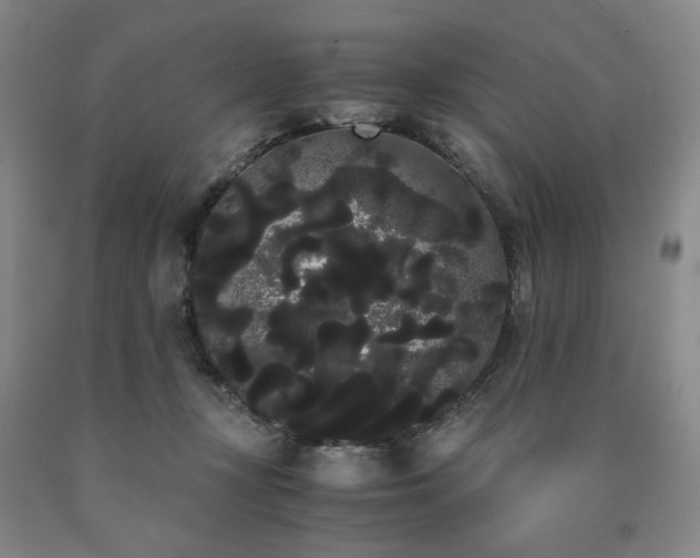X0000090860367200707271234