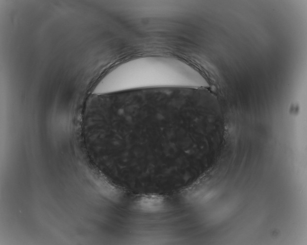 X0000090860369200707271234