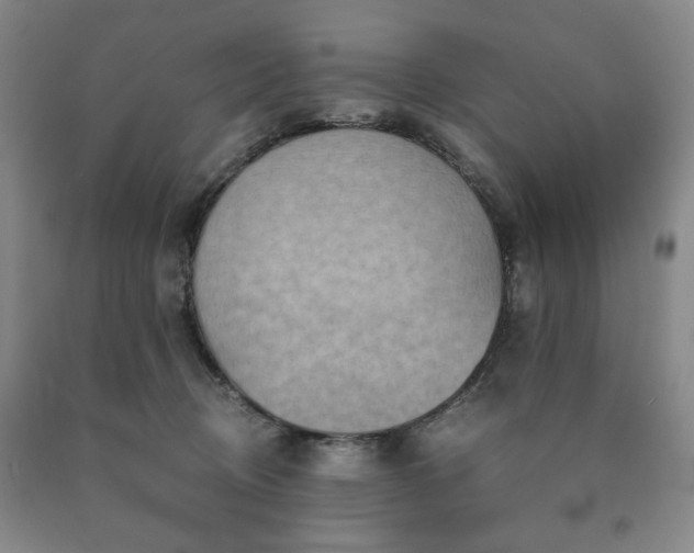 X0000090860370200707271234