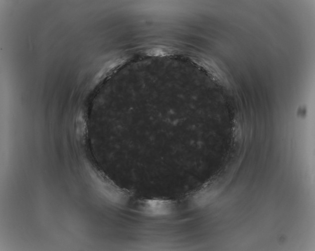 X0000090860371200707271234