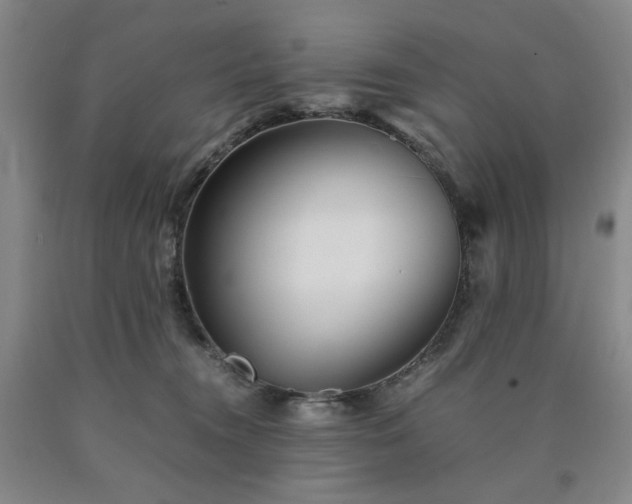X0000090860372200707271234