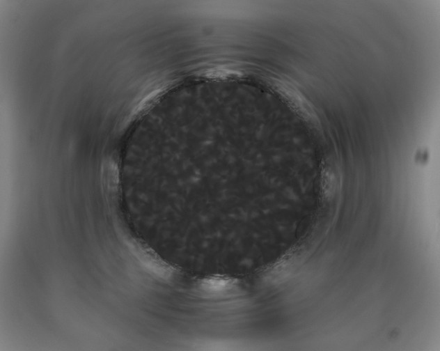 X0000090860375200707271234