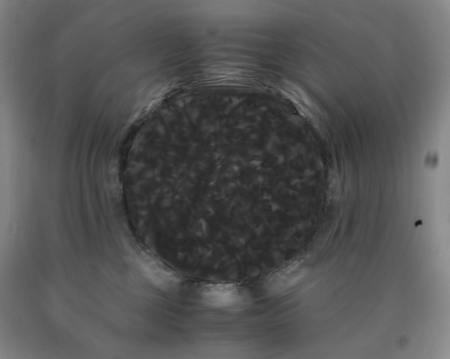 X0000090860377200707271234