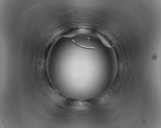X0000090860379200707271234