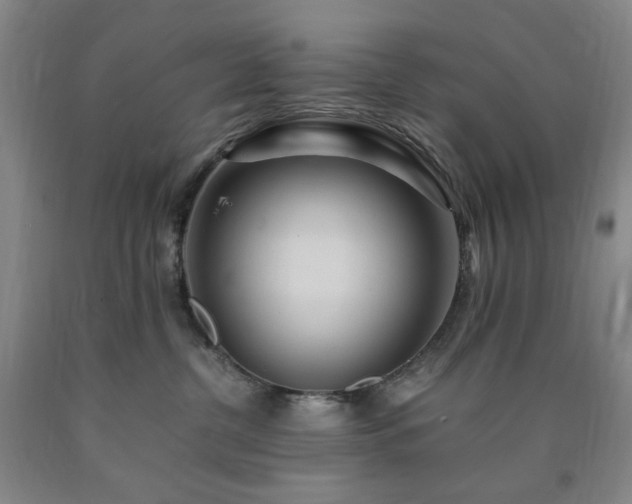 X0000090860380200707271234