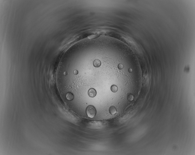 X0000090860381200707271234