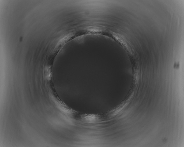 X0000090860383200707271234