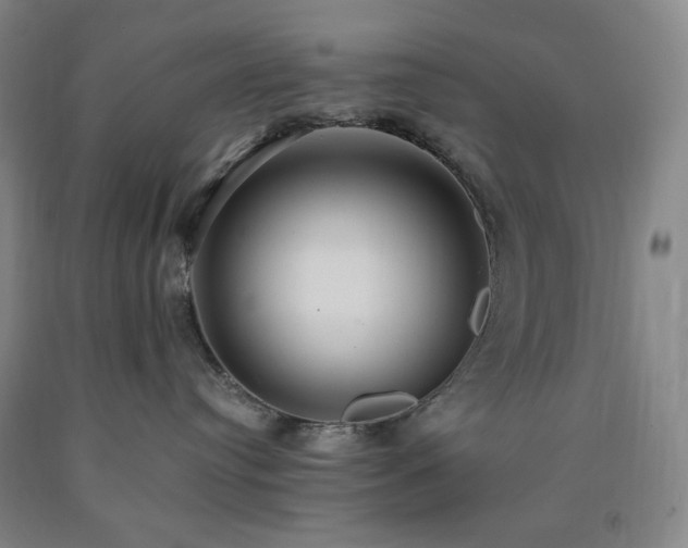 X0000090860384200707271234