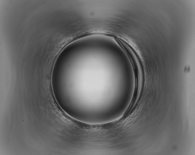 X0000090860385200707271233