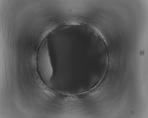 X0000090860386200707271233