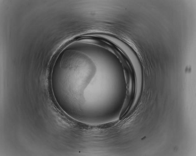 X0000090860387200707271233