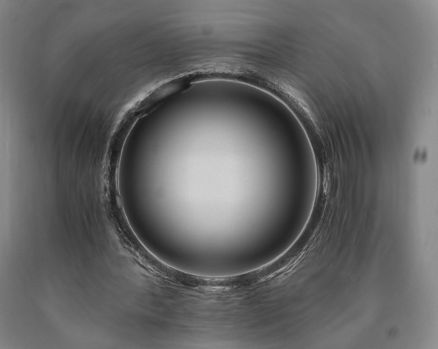 X0000090860388200707271233
