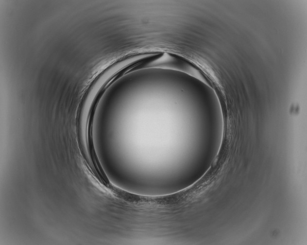 X0000090860389200707271233