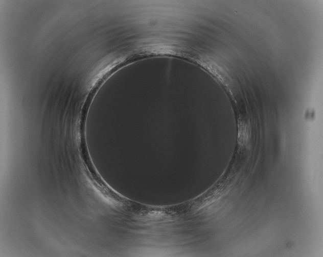 X0000090860390200707271233