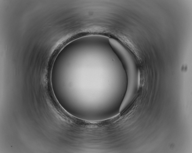 X0000090860392200707271233