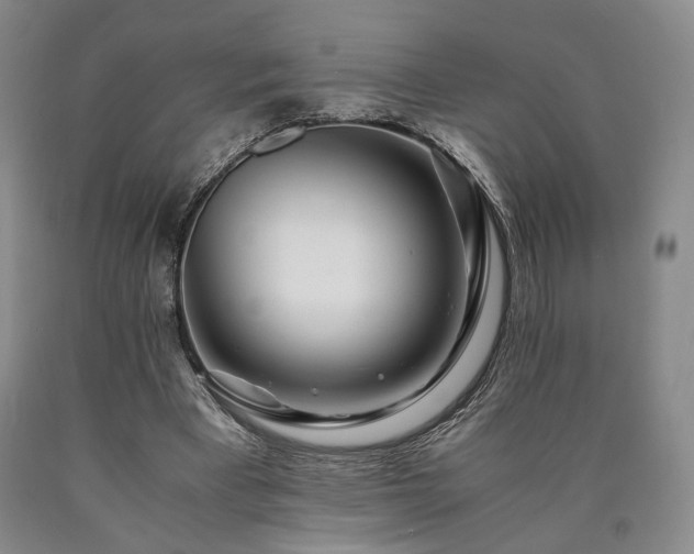 X0000090860393200707271233